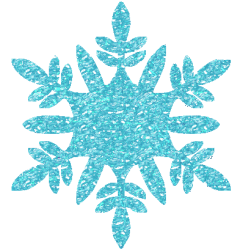 Snowflake #9